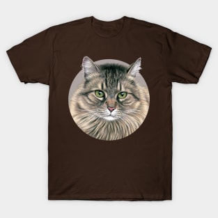 Brown Tabby Maine Coon Cat T-Shirt